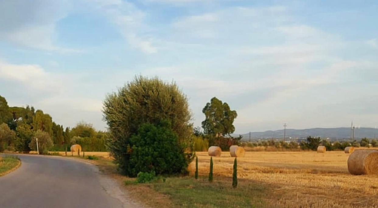 Il Cantuccio Cascina Kültér fotó