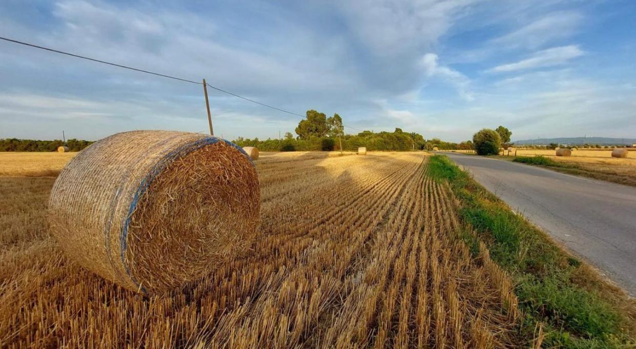 Il Cantuccio Cascina Kültér fotó